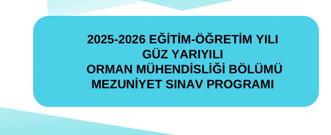 Mezuniyet25
