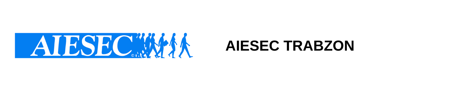 AIESEC(TÜRKİYE İKTİSADİ ve TİCARİ İLİMLER TALEBELERİ STAJ KOMİTESİ DERNEĞİ)