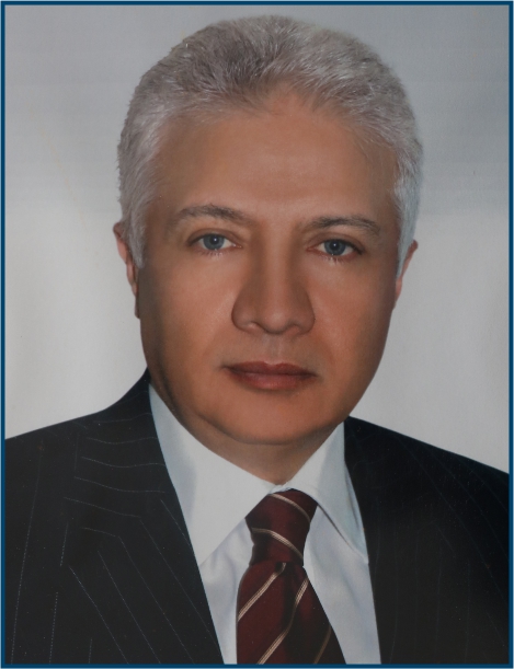 Prof. Dr. Metin TAMKOÇ