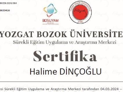 Eğiticilerin Eğitimi Sertifika Programı