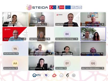 The 3rd Online Meeting of the STEIDA Project was Held