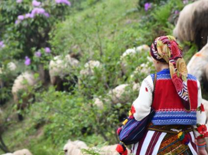 Dağlarımızda Komar ve Zifin Çiçeklerinden Görsel Şölen

