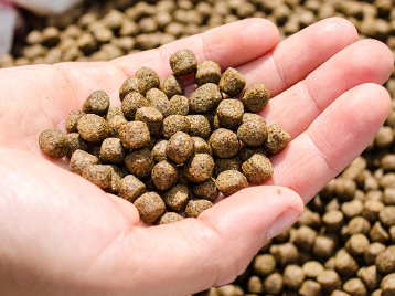 Fakültemize Alabalık Yemi Desteği