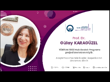 Akademisyenimize TÜBİTAK Proje Desteği