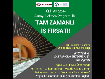 TÜBİTAK  2244 Sanayi Doktora Programı
