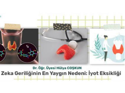 Zeka Geriliğinin En Yaygın Nedeni: İyot Eksikliği
