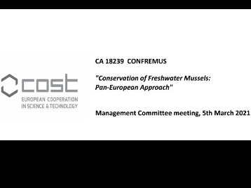 Cost Aksiyonu Yönetim Komitesi Toplantısı Çevrim İçi Gerçekleştirildi