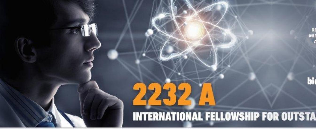 2232 - A International Fellowship for Outstanding Researchers