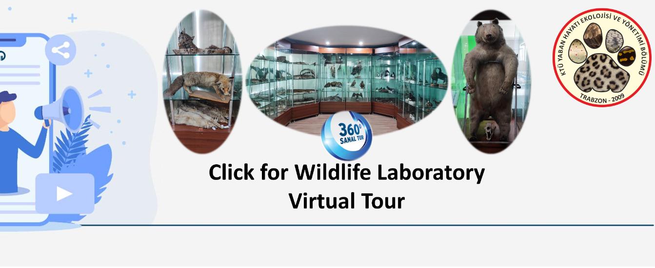 Wildlife Laboratory Virtual Tour
